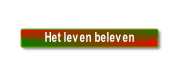 Sociaal Cultureel Welzijn "De Cluft EMMEN" Sociaal Cultureel Welzijn "De Cluft EMMEN"